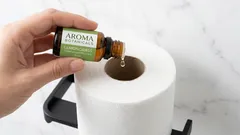 Un piacevole profumo in bagno in un minuto: metodo semplice senza deodoranti acquistati